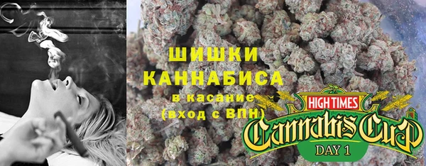 ГАЛЛЮЦИНОГЕННЫЕ ГРИБЫ Абаза