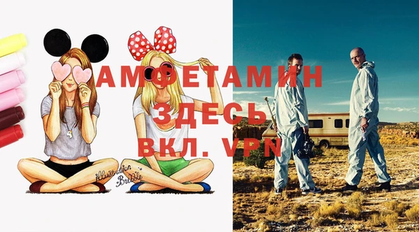 ГАЛЛЮЦИНОГЕННЫЕ ГРИБЫ Абаза