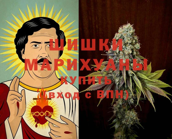ГАЛЛЮЦИНОГЕННЫЕ ГРИБЫ Абаза