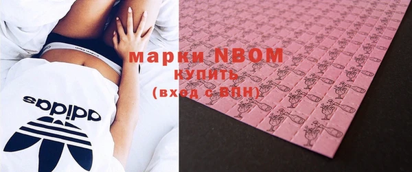 ГАЛЛЮЦИНОГЕННЫЕ ГРИБЫ Абаза